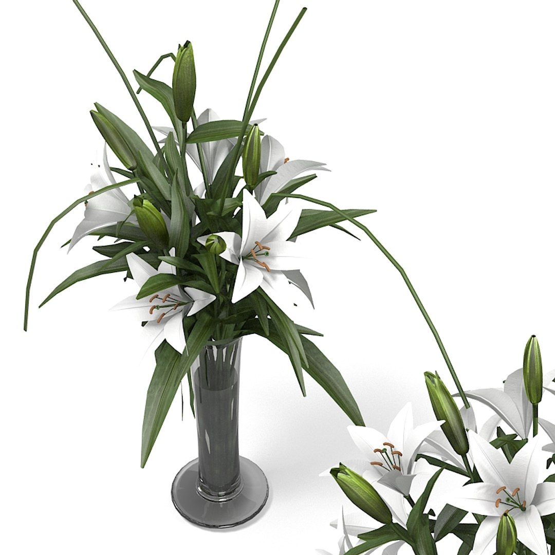 3d lily bouquet https://p.turbosquid.com/ts-thumb/Wd/ThRI5Y/EkA2cAxo/lilyyy0004/jpg/1323629680/1920x1080/fit_q87/f10de6b89dbbad09c6aacc80f3a69967a2de7177/lilyyy0004.jpg