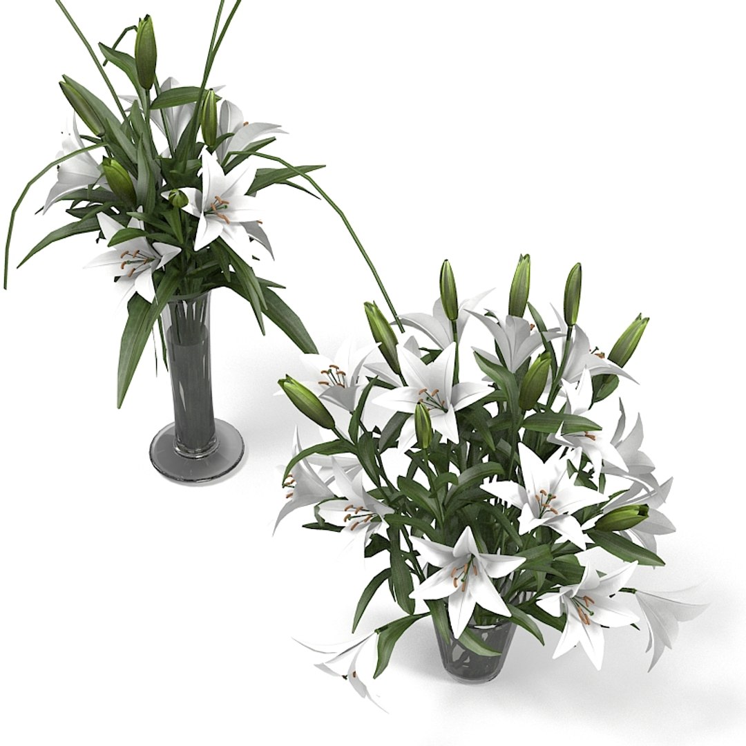 3d lily bouquet https://p.turbosquid.com/ts-thumb/Wd/ThRI5Y/KtilfYMW/lilyyy0002/jpg/1323629452/1920x1080/fit_q87/e188919a77b3cfc6e03088b8c686a9f512e1b15d/lilyyy0002.jpg
