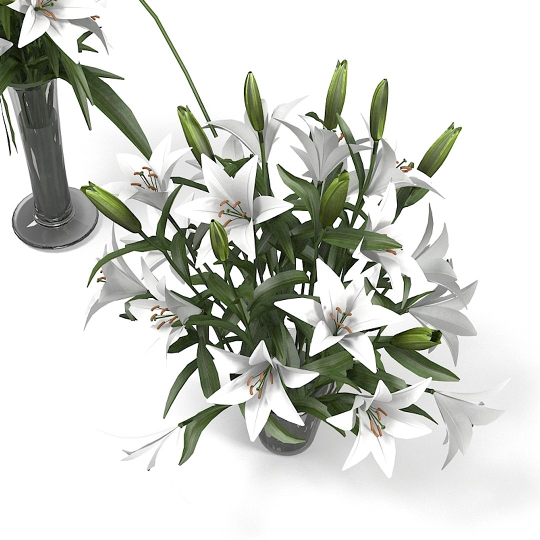 3d lily bouquet https://p.turbosquid.com/ts-thumb/Wd/ThRI5Y/NctybdR3/lilyyy0003/jpg/1323629452/1920x1080/fit_q87/fe3ed7d31658b5a9eed81b2347b3d5acc1f43c81/lilyyy0003.jpg