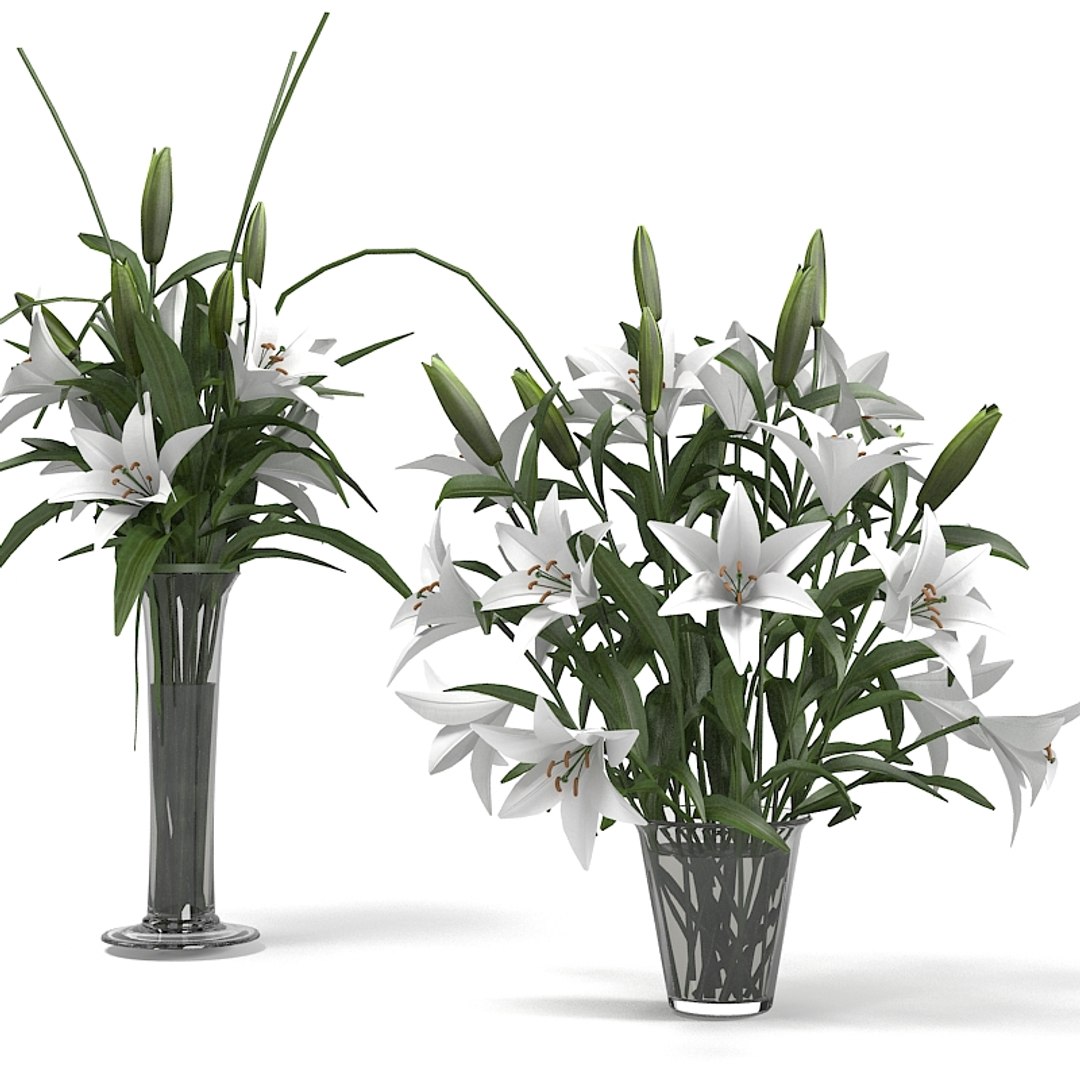 3d lily bouquet https://p.turbosquid.com/ts-thumb/Wd/ThRI5Y/RXCDx0yu/lilyyy0001/jpg/1323629452/1920x1080/fit_q87/691b20052a1936ab99f32e4570c835a09b900340/lilyyy0001.jpg