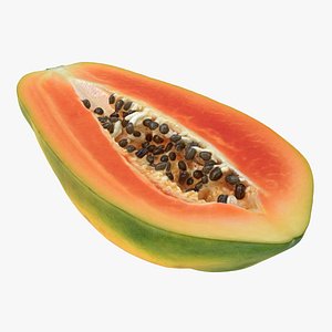 Papaya Half 02 3D model