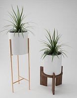 Pottered Plant on stand