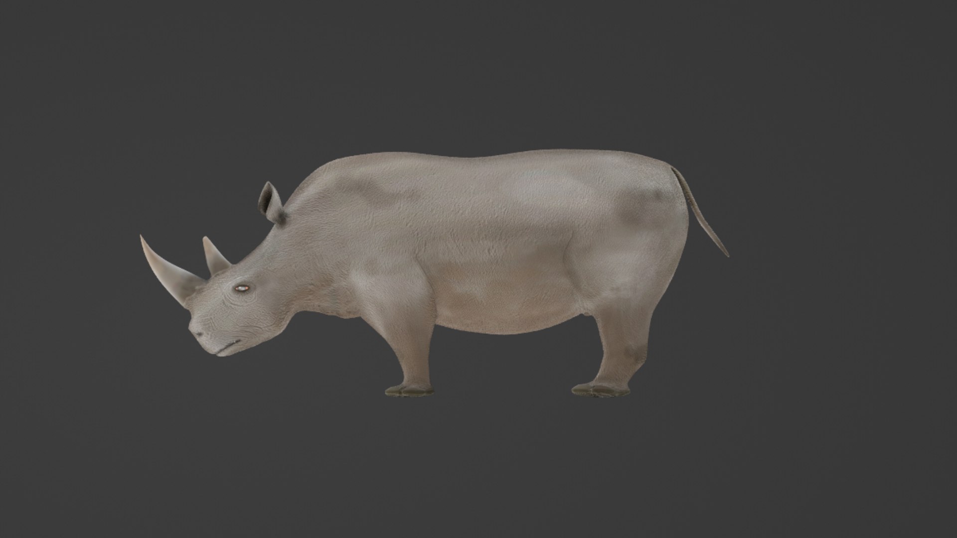 Rhinoceros 3D Model 3D https://p.turbosquid.com/ts-thumb/Wd/hA3MFN/CJ/rhino11/png/1732385400/1920x1080/fit_q87/ac510fbe57dc1f4dbf773e3aa7bb5c6d95d70e1d/rhino11.jpg
