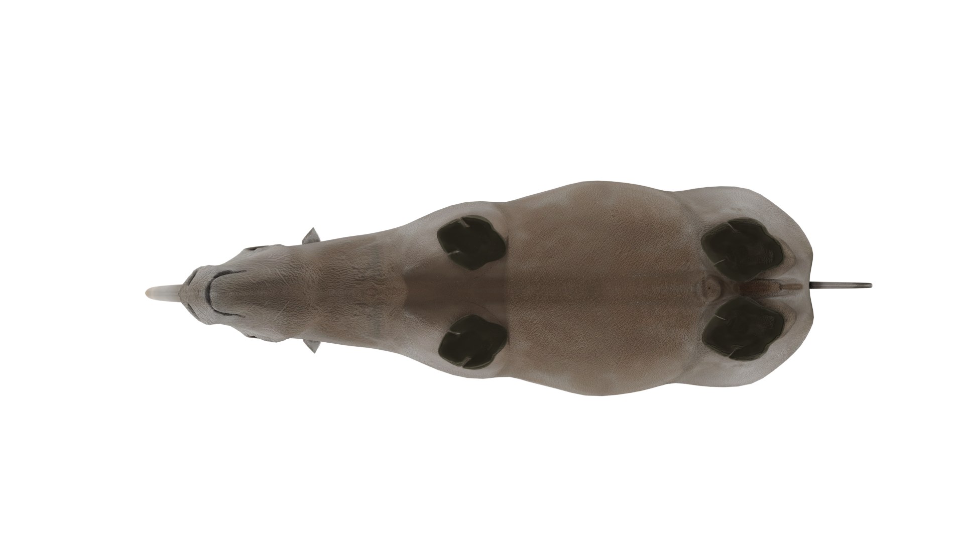 Rhinoceros 3D Model 3D https://p.turbosquid.com/ts-thumb/Wd/hA3MFN/Dc/rhino6/png/1732385390/1920x1080/fit_q87/53062b9a8cb5ccf4abd2af0fdc4ae00bd8afae22/rhino6.jpg
