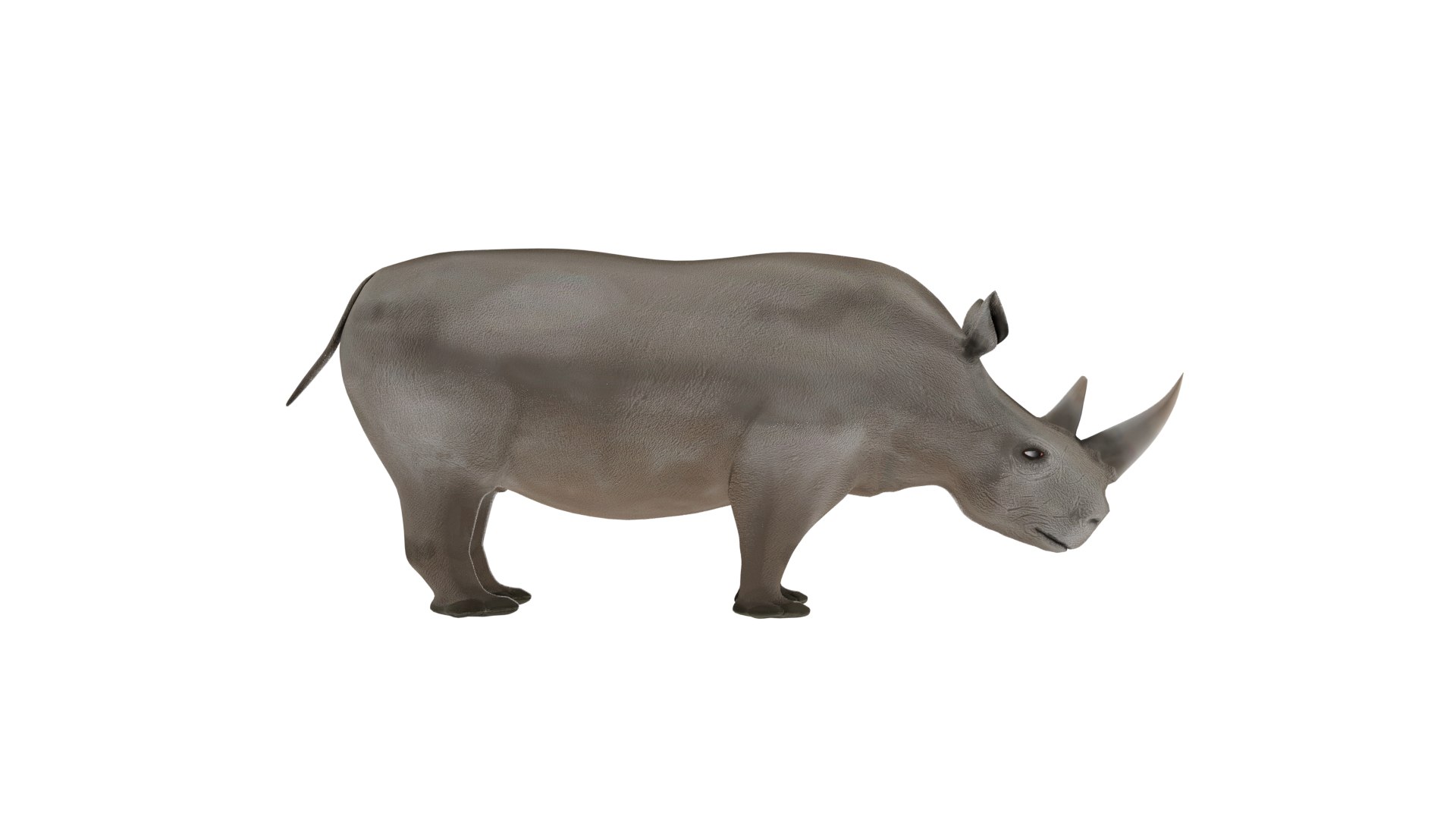 Rhinoceros 3D Model 3D https://p.turbosquid.com/ts-thumb/Wd/hA3MFN/Fq/rhino2/png/1732385375/1920x1080/fit_q87/e2a29b2ae4a00837b9e207258d2dbcb7fee9654c/rhino2.jpg
