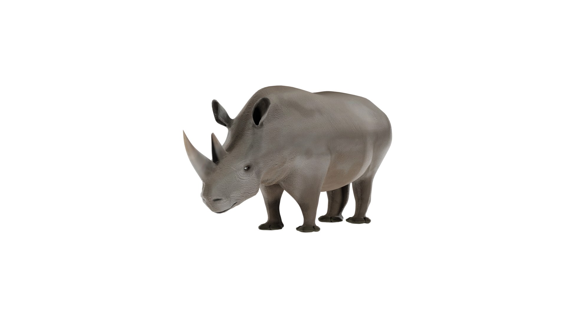 Rhinoceros 3D Model 3D https://p.turbosquid.com/ts-thumb/Wd/hA3MFN/HR/rhino/png/1732385365/1920x1080/fit_q87/4519ee344c06c5740c3fe5d83b44812e4aa04c79/rhino.jpg