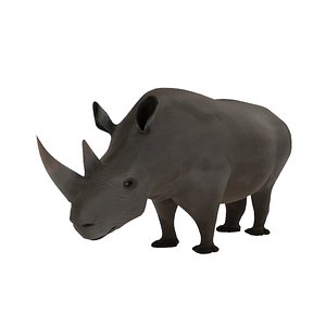 Rhinoceros 3D Model 3D