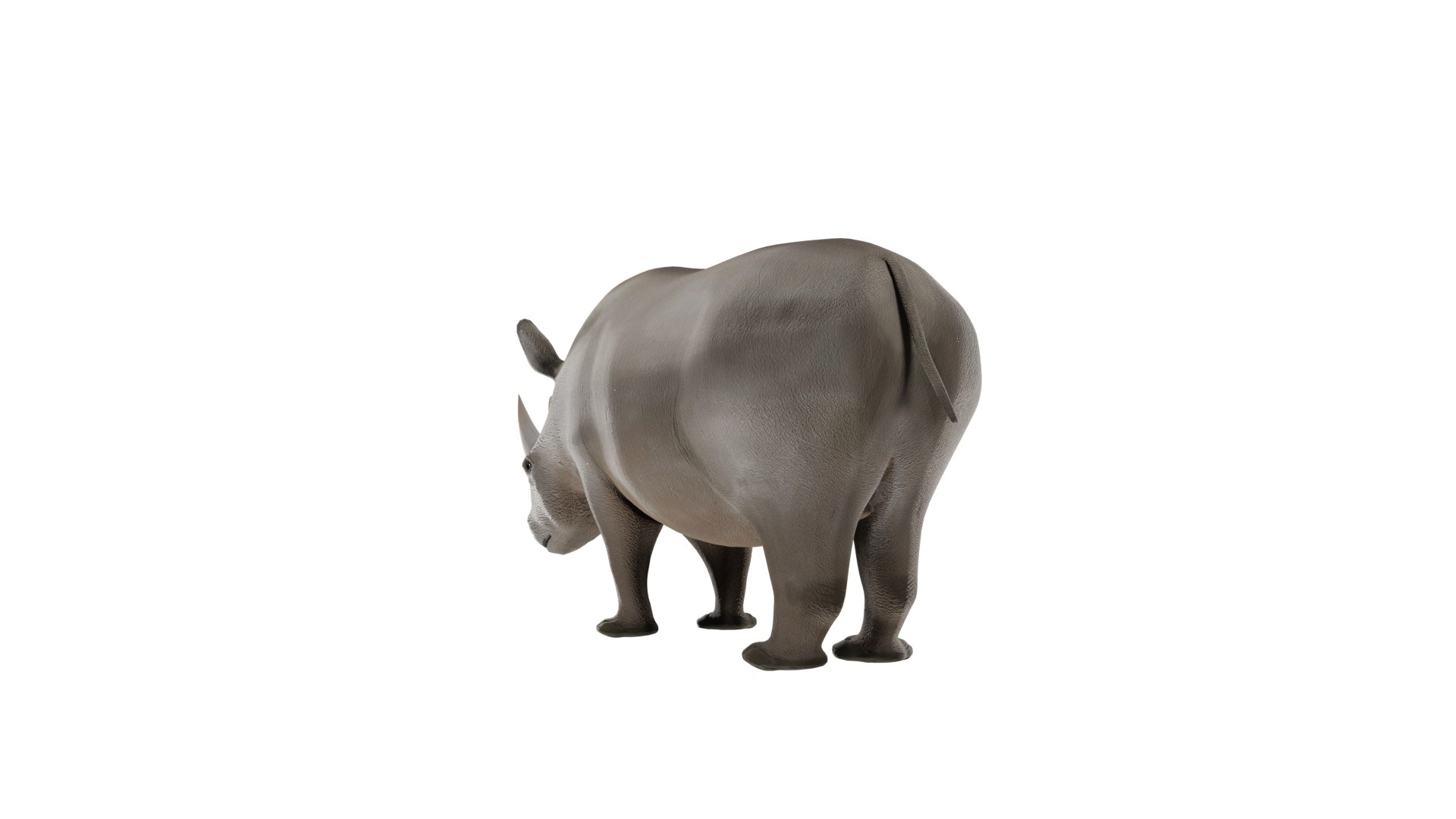 Rhinoceros 3D Model 3D https://p.turbosquid.com/ts-thumb/Wd/hA3MFN/gx/rhino7/png/1732385393/1920x1080/fit_q87/82b39e3ed22528ee2507341310f4aad0bf4e5299/rhino7.jpg