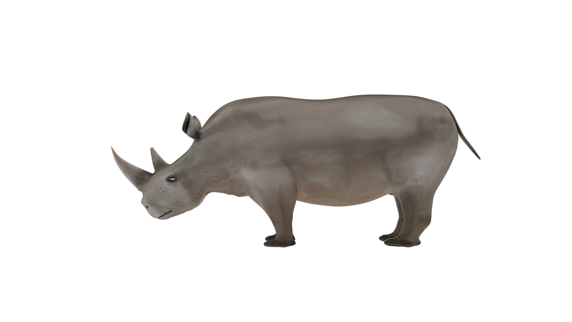 Rhinoceros 3D Model 3D https://p.turbosquid.com/ts-thumb/Wd/hA3MFN/v2/rhino1/png/1732385370/1920x1080/fit_q87/d9380cf0ea212c7345aa28c72c18f03e10be068e/rhino1.jpg