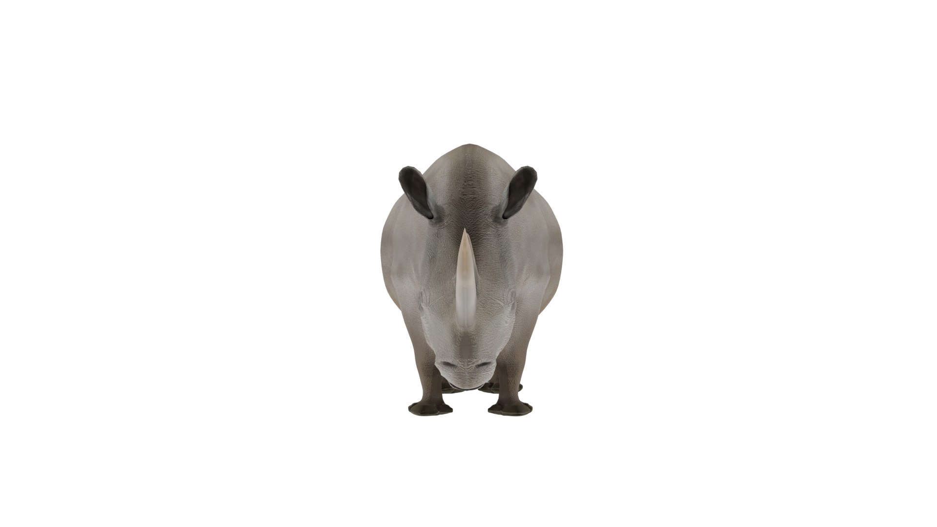 Rhinoceros 3D Model 3D https://p.turbosquid.com/ts-thumb/Wd/hA3MFN/xP/rhino3/png/1732385376/1920x1080/fit_q87/62deed913750298039494fc5de5227fe9893765d/rhino3.jpg