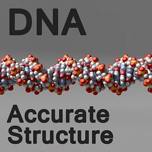 DNA Style 1