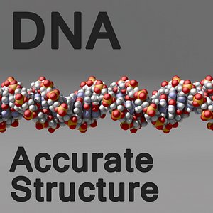 DNA Style 1