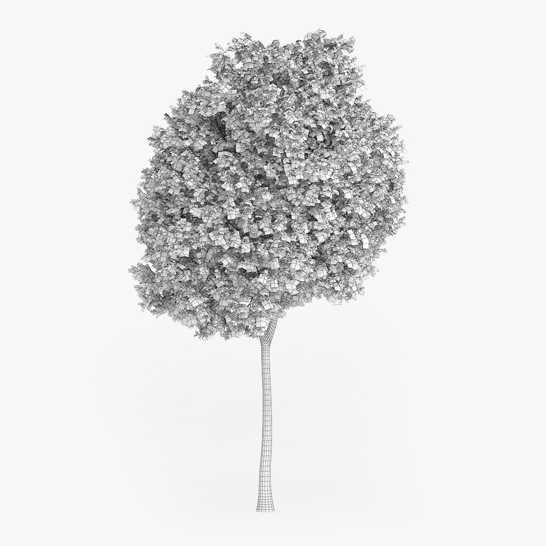 norway maple 14m 3d model https://p.turbosquid.com/ts-thumb/Wd/nQof7b/smYbs4jO/redpolygon_acer_07_01_grid/jpg/1436385814/1920x1080/fit_q87/2cab988e3ab585297fd52674fa03da924af2d029/redpolygon_acer_07_01_grid.jpg