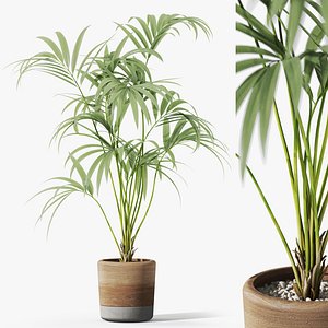 3D Plants collection 1090