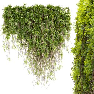 Collection plant vol 415 - outdoor - leaf - outdoor - ivy - 3dmax - cinema 4d