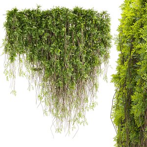 Collection plant vol 415 - outdoor - leaf - outdoor - ivy - 3dmax - cinema 4d