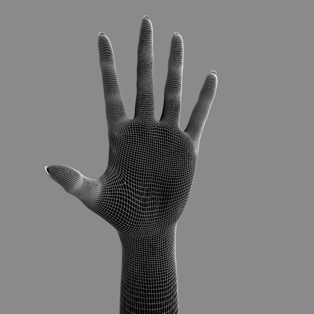 Female Hand 3d Model