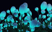 Flowers like in Avatar