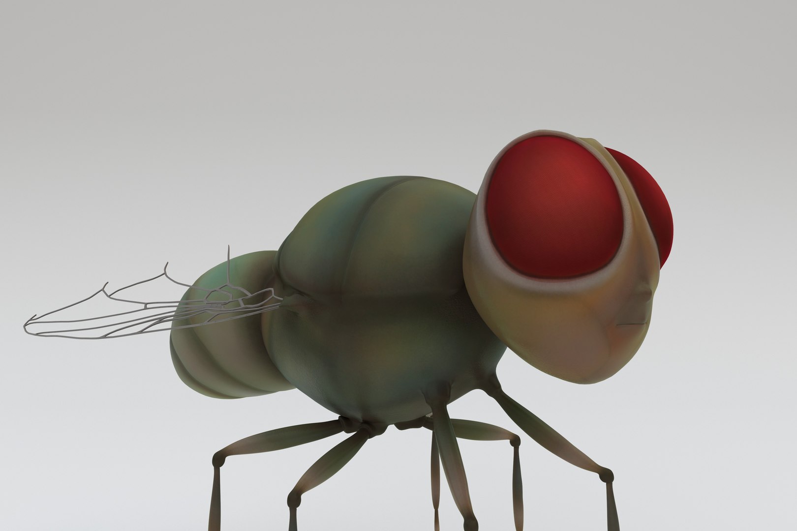 House Fly ANIMATED 3D Model - TurboSquid 1986544