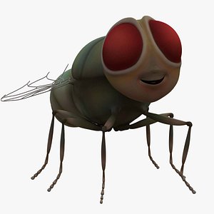 House Fly ANIMATED 3D model