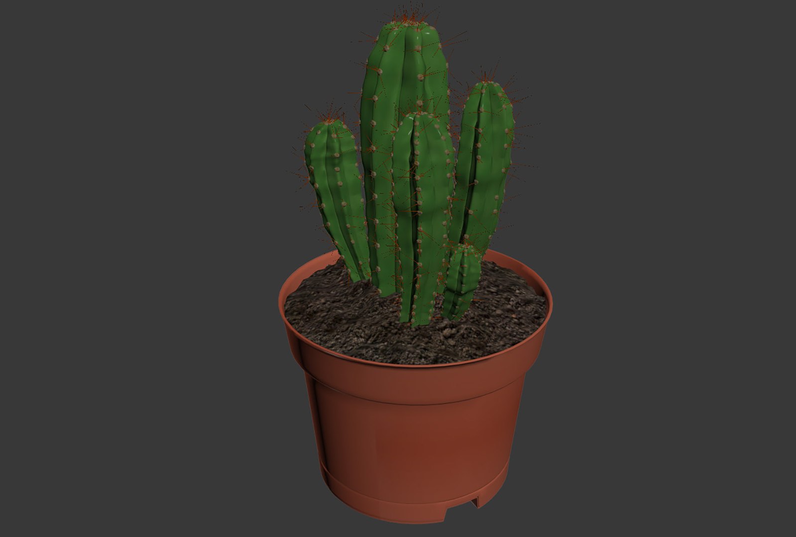 CACTUSES 3D model https://p.turbosquid.com/ts-thumb/We/arLDE8/29/untitled5/jpg/1649230027/1920x1080/fit_q87/c293e8f49f8362a83c0f48ffd6f09444974c167c/untitled5.jpg