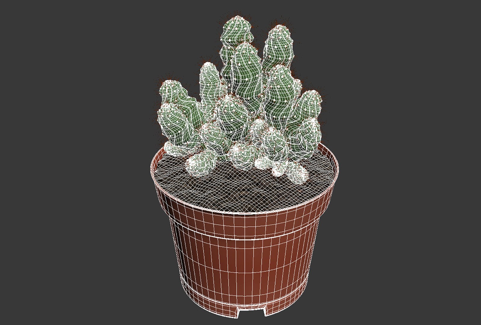 CACTUSES 3D model https://p.turbosquid.com/ts-thumb/We/arLDE8/45/untitled16/jpg/1649230046/1920x1080/fit_q87/599e0a55fed5979d91cc55f749ff46ffb84df141/untitled16.jpg