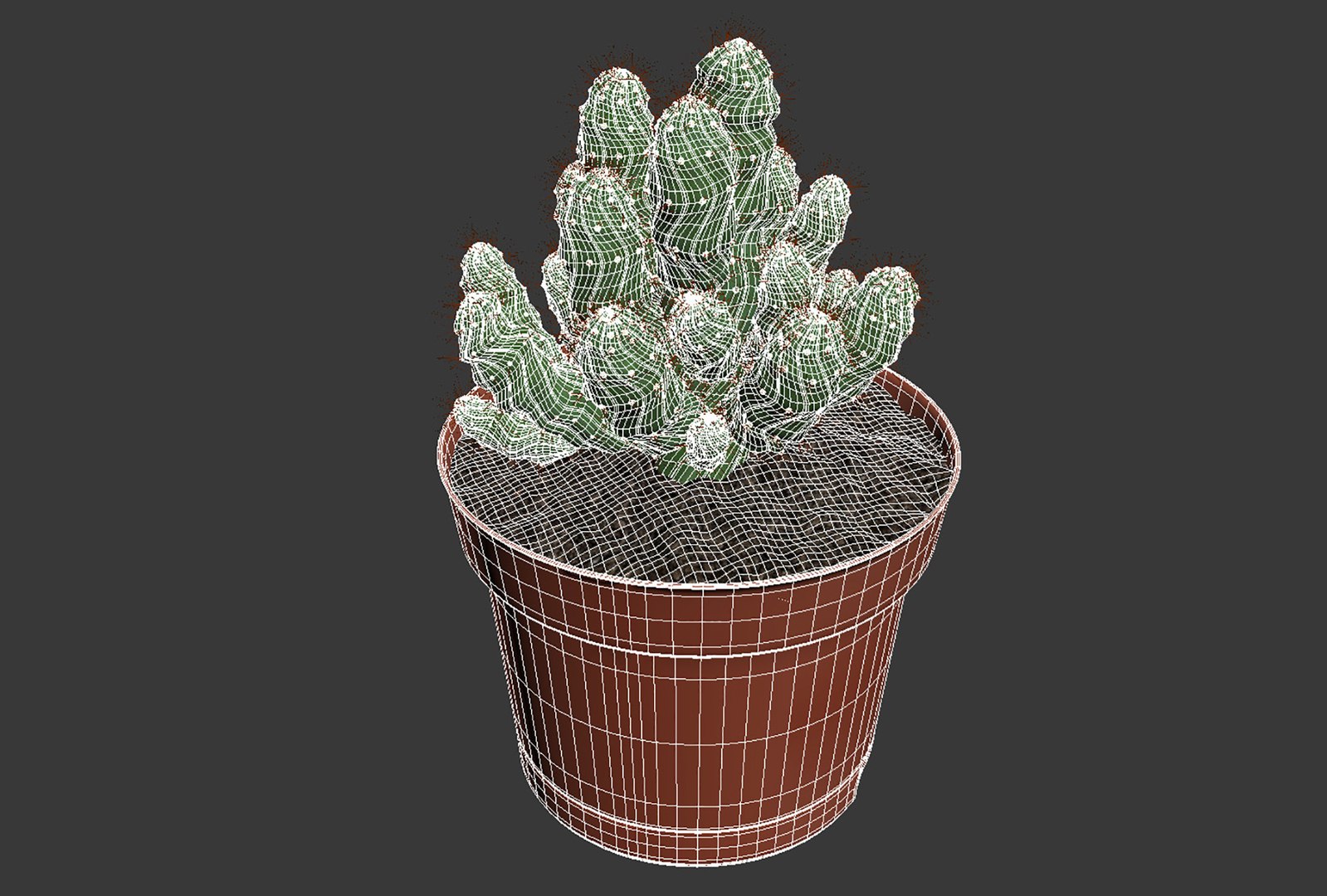 CACTUSES 3D model https://p.turbosquid.com/ts-thumb/We/arLDE8/B6/untitled15/jpg/1649230045/1920x1080/fit_q87/7a8adef4f8fc675631423103f7f27514d21f6507/untitled15.jpg