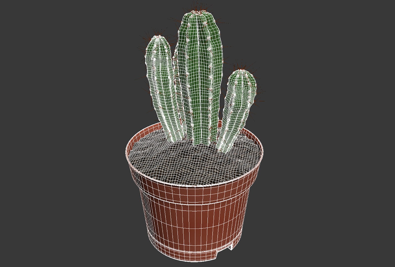 CACTUSES 3D model https://p.turbosquid.com/ts-thumb/We/arLDE8/C5/untitled8/jpg/1649230030/1920x1080/fit_q87/a5432544390c28bb37015fa125d48ad3f41b4bf2/untitled8.jpg