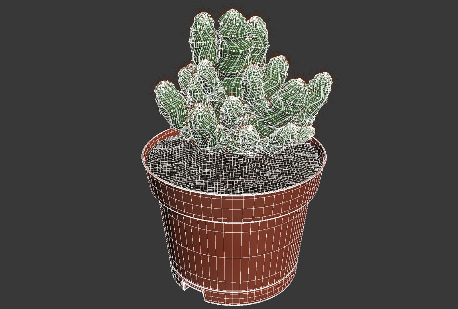 CACTUSES 3D model https://p.turbosquid.com/ts-thumb/We/arLDE8/Db/untitled14/jpg/1649230041/1920x1080/fit_q87/24a448714290137dcf2587b4ba05eb35cd3adffb/untitled14.jpg