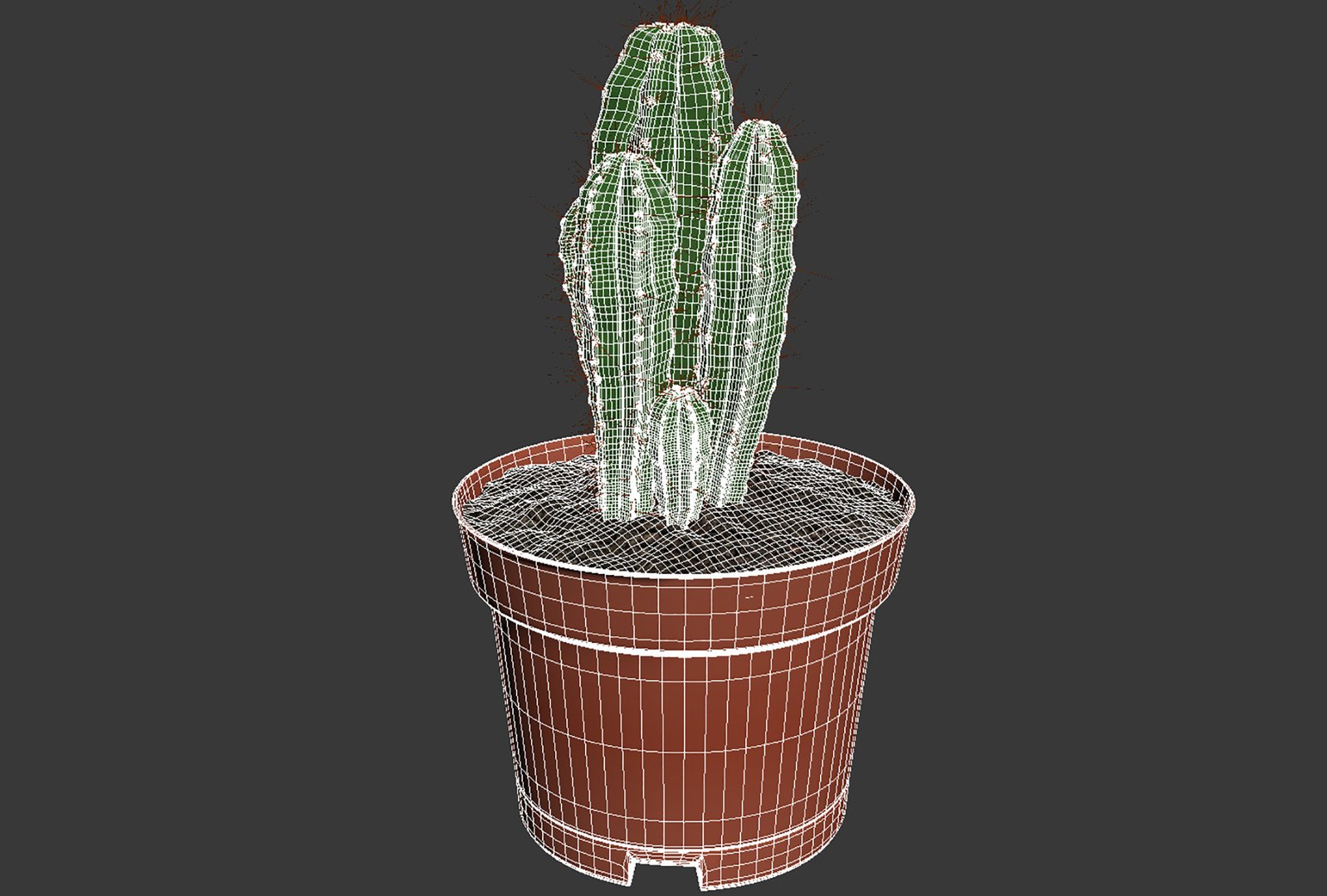 CACTUSES 3D model https://p.turbosquid.com/ts-thumb/We/arLDE8/EG/untitled9/jpg/1649230034/1920x1080/fit_q87/ebcc60b46c87f8dd4be8bc7a63a0414085a6e192/untitled9.jpg