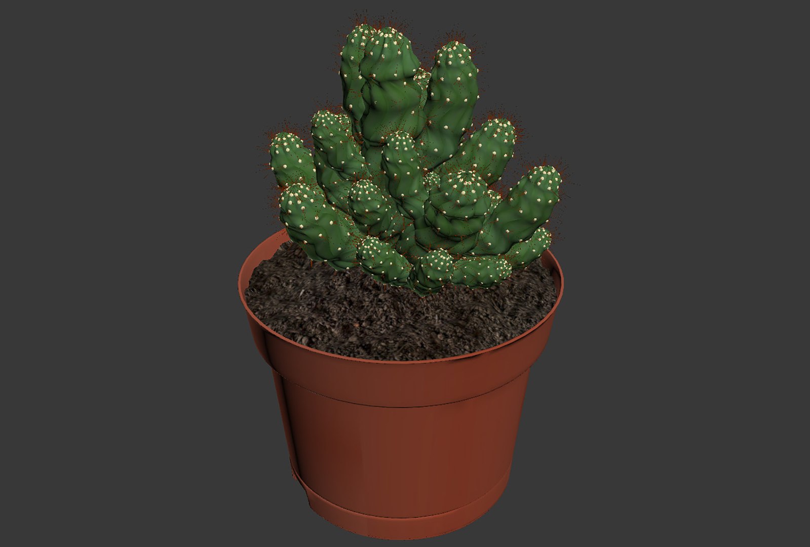 CACTUSES 3D model https://p.turbosquid.com/ts-thumb/We/arLDE8/Fc/untitled12/jpg/1649230040/1920x1080/fit_q87/c2a99b921a76233388fc7c03ff75cff9a78e70f9/untitled12.jpg