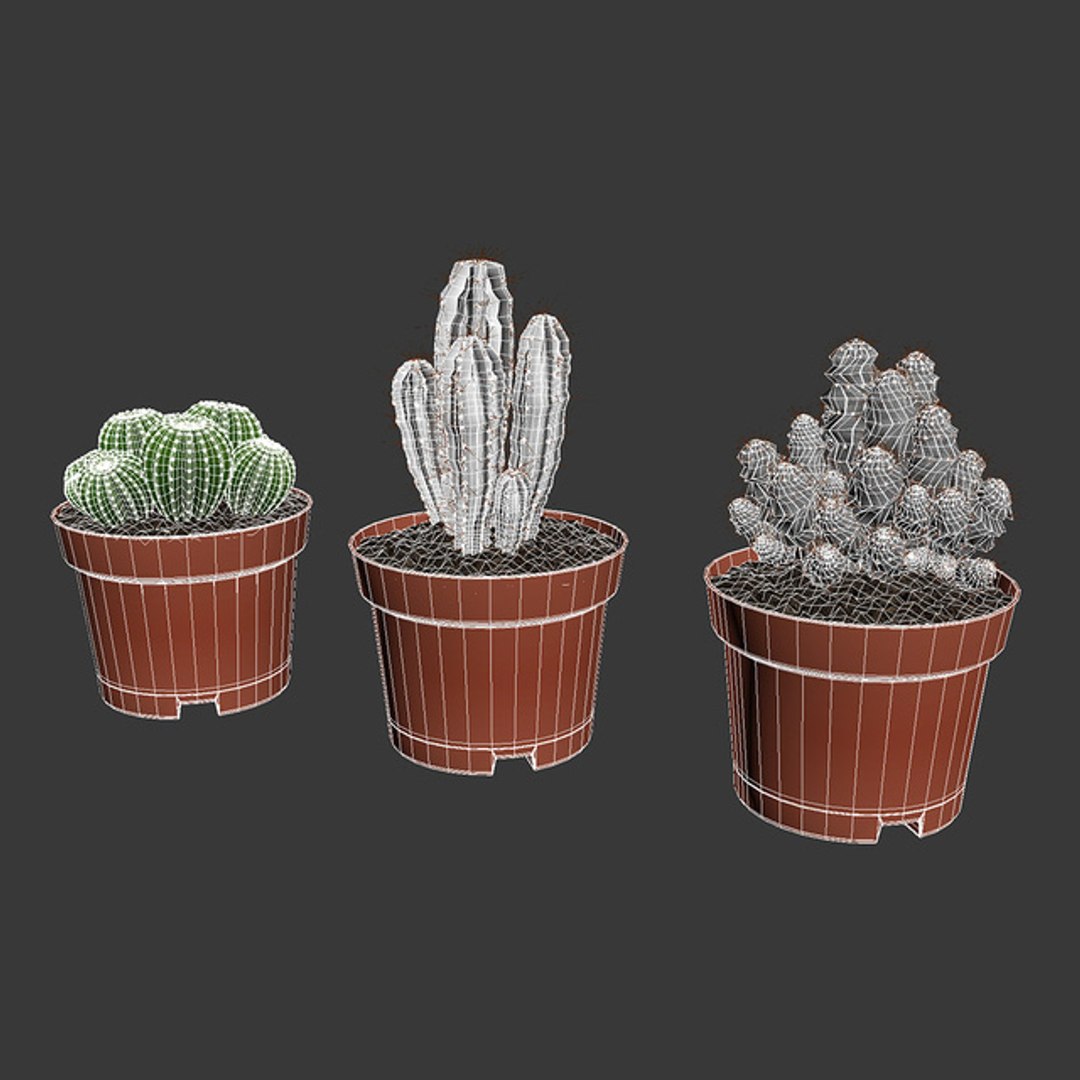CACTUSES 3D model https://p.turbosquid.com/ts-thumb/We/arLDE8/HL/2527584.5d5f7e09a4640/jpeg/1649230020/1920x1080/fit_q87/da782c601963fec807a246e512bb575052d566d6/2527584.5d5f7e09a4640.jpg
