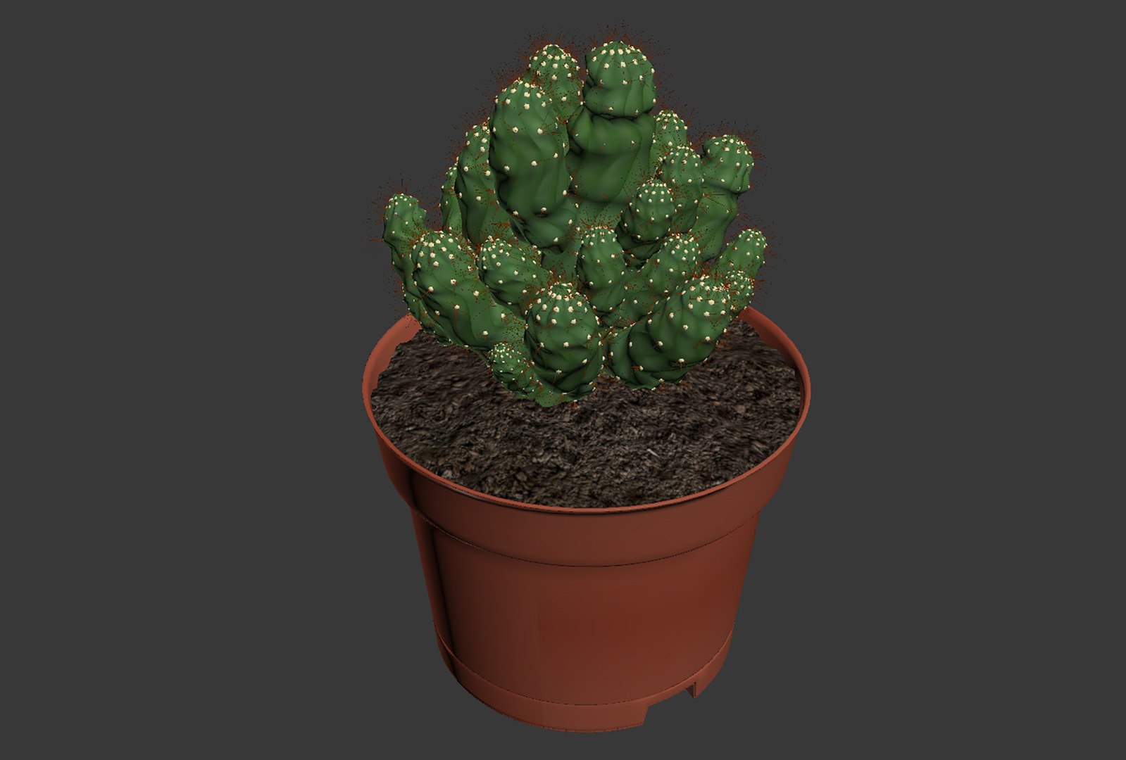 CACTUSES 3D model https://p.turbosquid.com/ts-thumb/We/arLDE8/I1/untitled13/jpg/1649230040/1920x1080/fit_q87/49beca22ec4ffd6259ddef7f0caa90f6146c20f0/untitled13.jpg