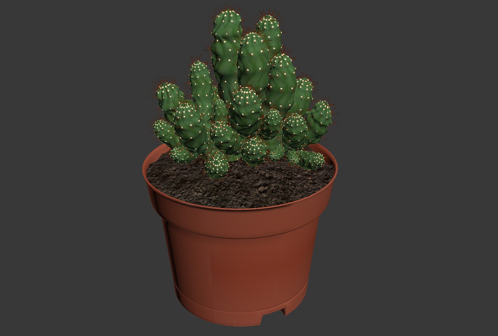 CACTUSES 3D model https://p.turbosquid.com/ts-thumb/We/arLDE8/SY/untitled11/jpg/1649230035/1920x1080/fit_q87/aca2c07b7afc6ee422956a4e8fec2a6095d852a2/untitled11.jpg