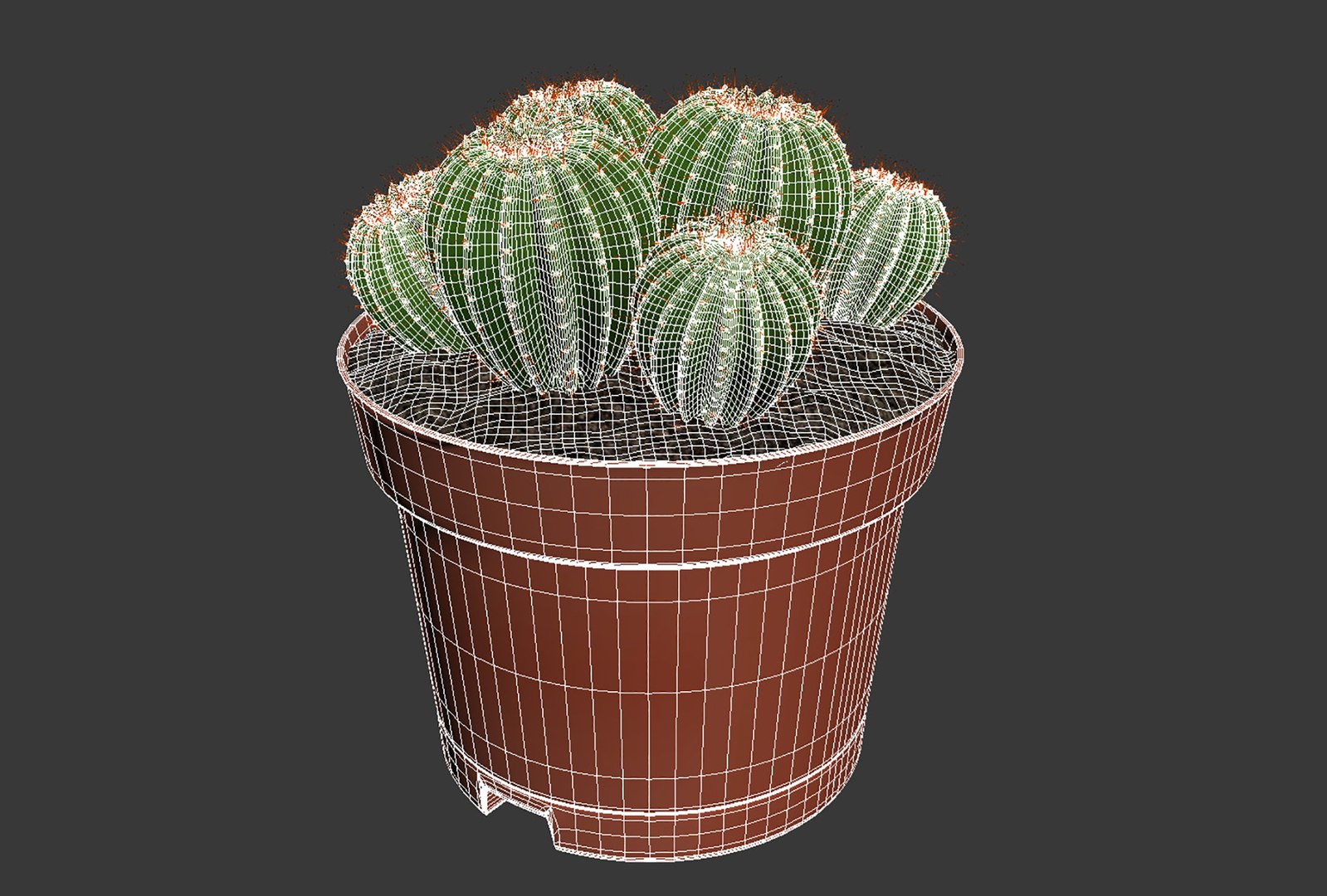 CACTUSES 3D model https://p.turbosquid.com/ts-thumb/We/arLDE8/VJ/untitled4/jpg/1649230026/1920x1080/fit_q87/739940bebc55066f0fab24cf10589d344166fe1a/untitled4.jpg