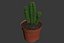 CACTUSES