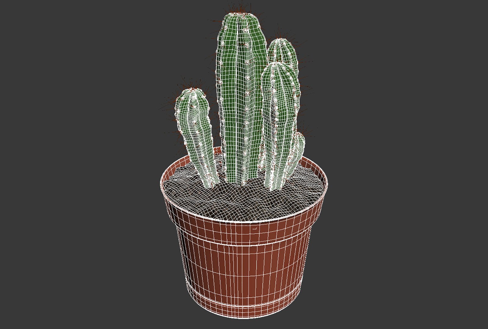CACTUSES 3D model https://p.turbosquid.com/ts-thumb/We/arLDE8/qa/untitled10/jpg/1649230033/1920x1080/fit_q87/10fe66eda001e2d5b89f8dfa9086a53af584e510/untitled10.jpg
