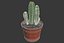 CACTUSES