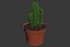 CACTUSES