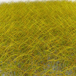 autumn grass pack 3d model