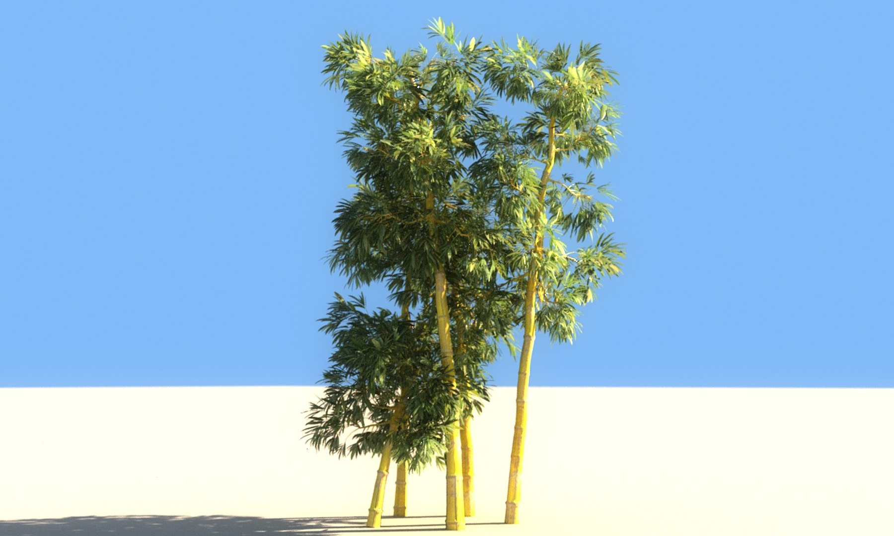 3D bamboo forest pack 10 model https://p.turbosquid.com/ts-thumb/We/nmQ8kC/5FgG8spr/00/jpg/1552091639/1920x1080/fit_q87/bf181a6ea8ef01f2e5b87b83a0902ba2be9151ed/00.jpg