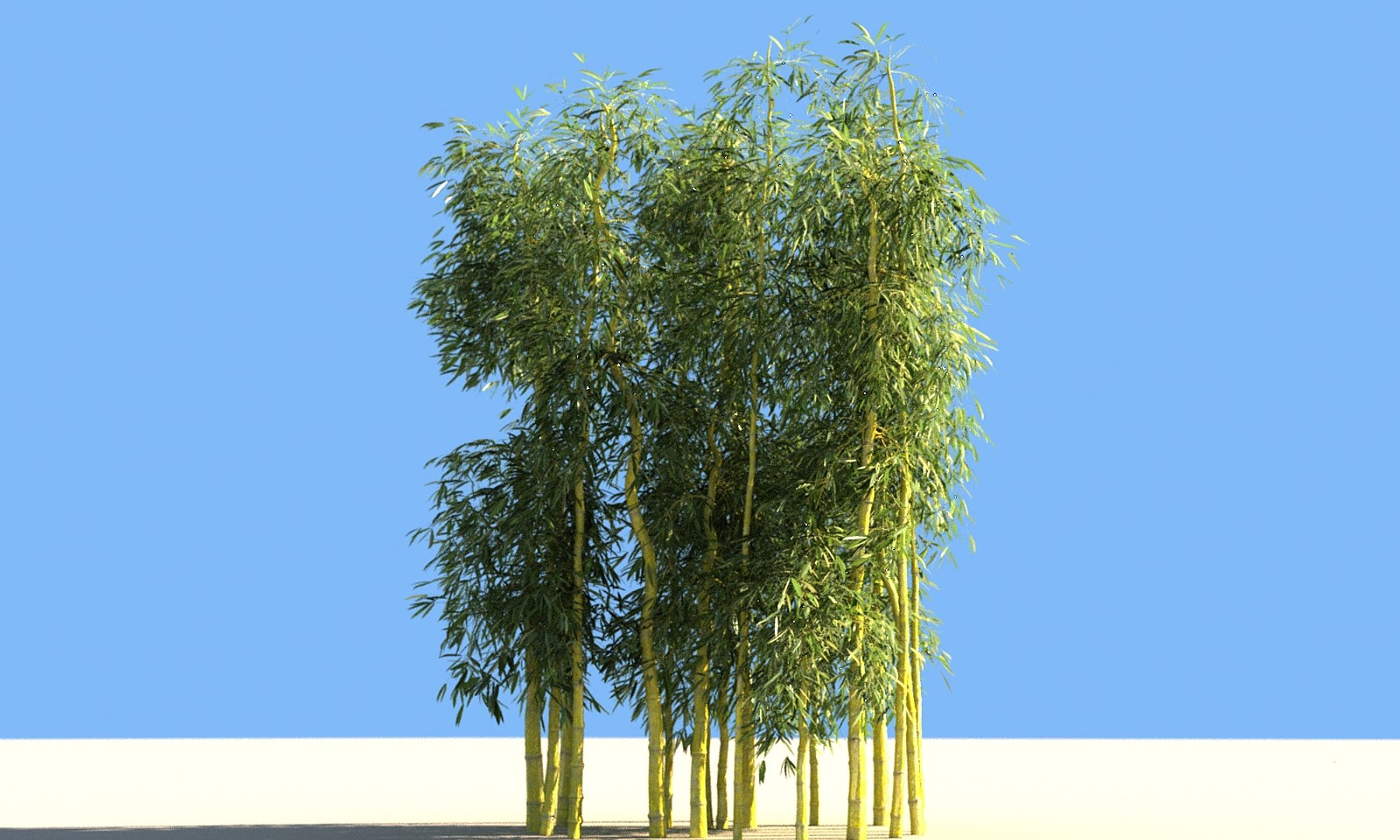 3D bamboo forest pack 10 model https://p.turbosquid.com/ts-thumb/We/nmQ8kC/BUbafHSr/z/jpg/1552091639/1920x1080/fit_q87/d3a5d40fa06cc84276fe306e19239cd5b06ef7f3/z.jpg