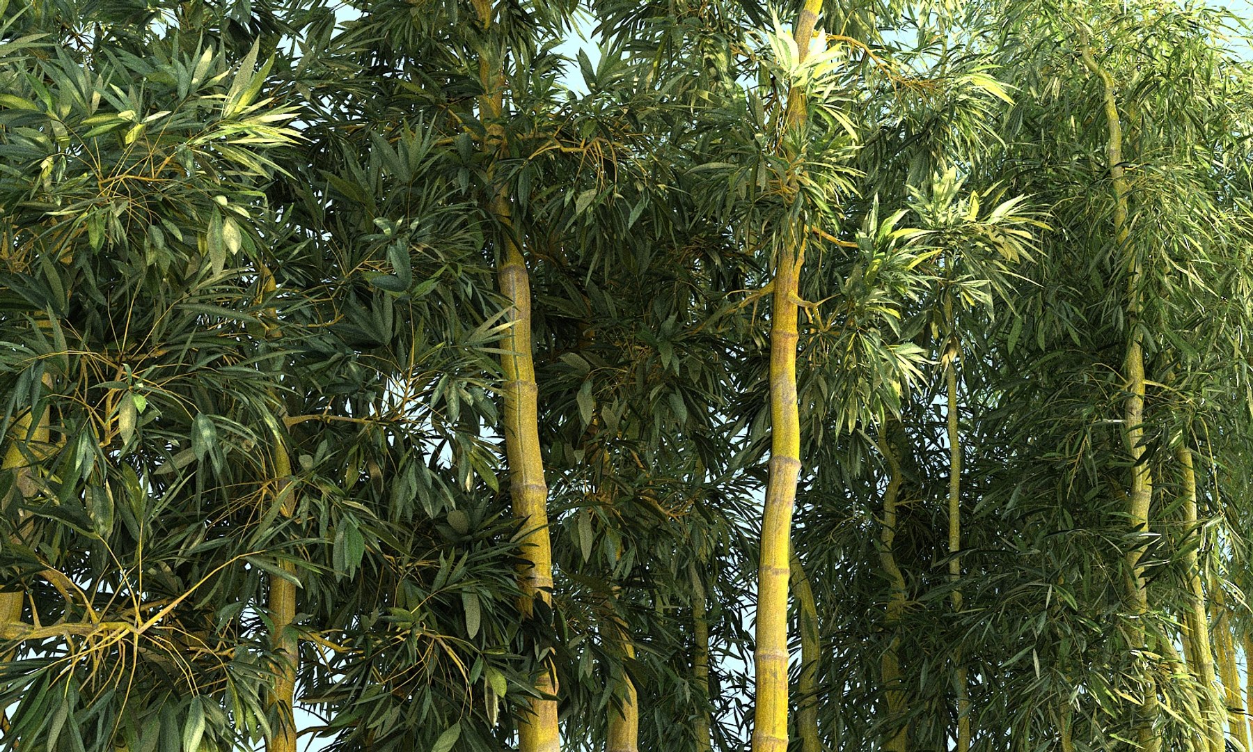 3D bamboo forest pack 10 model https://p.turbosquid.com/ts-thumb/We/nmQ8kC/ibTlE9sk/990/jpg/1552090920/1920x1080/fit_q87/efb6a9ca0bd7f10040b11e7c857f87d99cab2c75/990.jpg