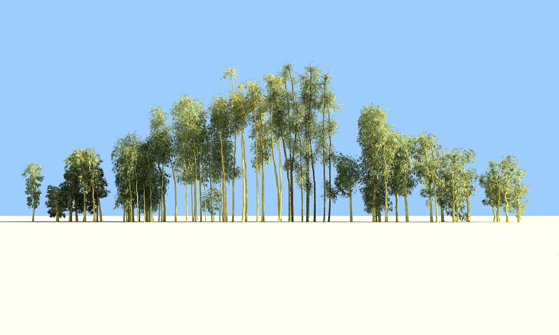 3D bamboo forest pack 10 model https://p.turbosquid.com/ts-thumb/We/nmQ8kC/slYilKqz/66789/jpg/1552090921/1920x1080/fit_q87/9aab6401c25b4c52f65e975cd16f8e8701168c5a/66789.jpg