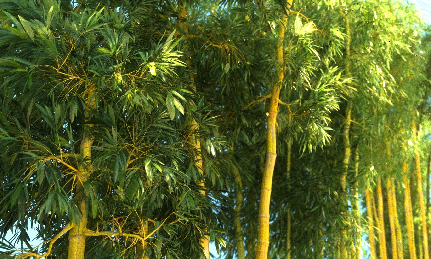 3D bamboo forest pack 10 model https://p.turbosquid.com/ts-thumb/We/nmQ8kC/y5BOw7Wt/9900/jpg/1552090920/1920x1080/fit_q87/0dcc7e9ad3484b6bcbd89b97ee395ddf4d4e3132/9900.jpg