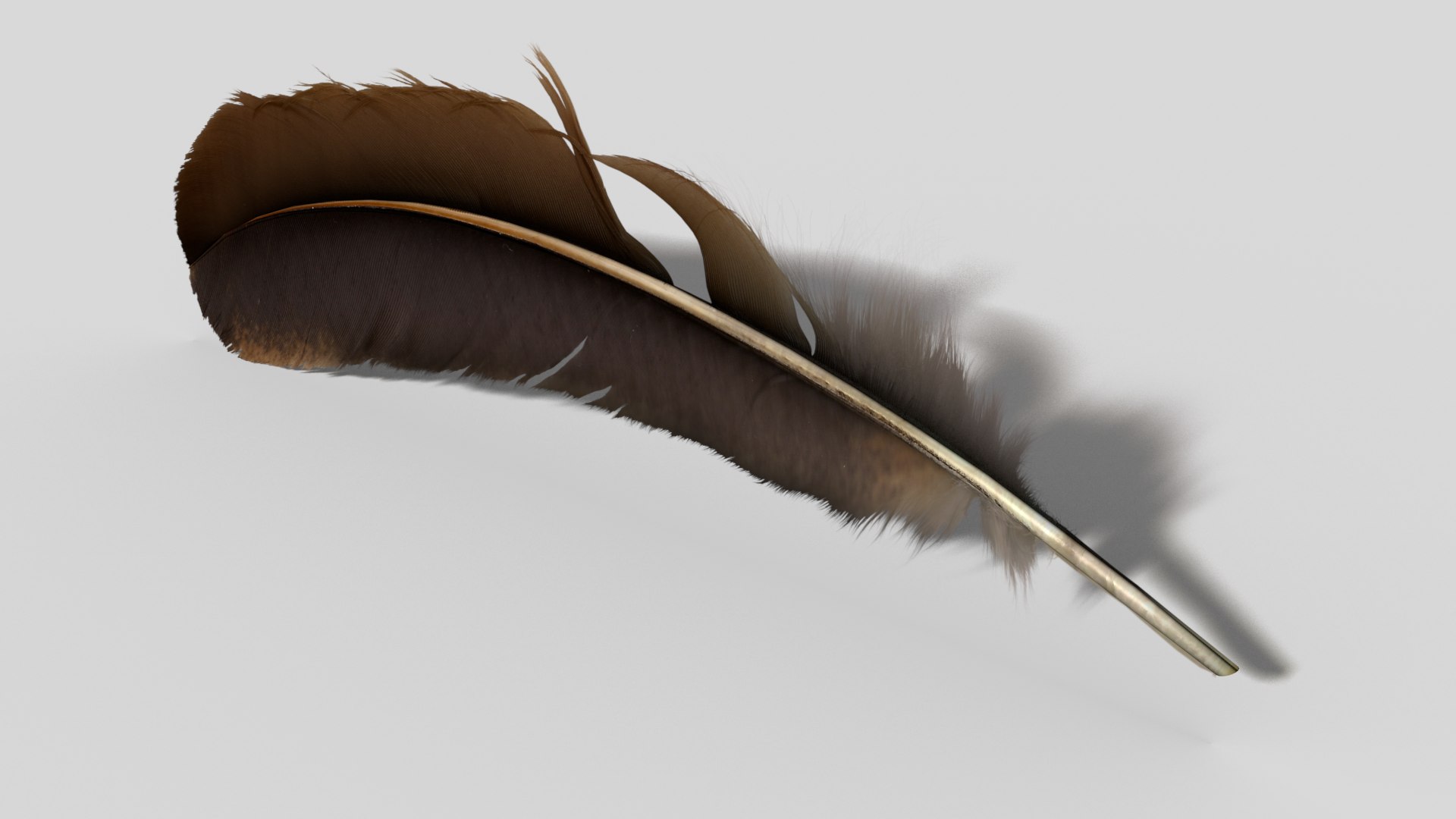 feather 3ds https://p.turbosquid.com/ts-thumb/Wf/9ojhIR/AxDUHz5C/featherrend/png/1415062167/1920x1080/fit_q87/5c66603df3611ecf665b0ad245e42d38bdf41908/featherrend.jpg