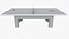 Ping Pong Table