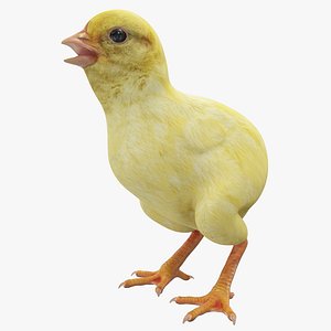 chick modeled 3d max