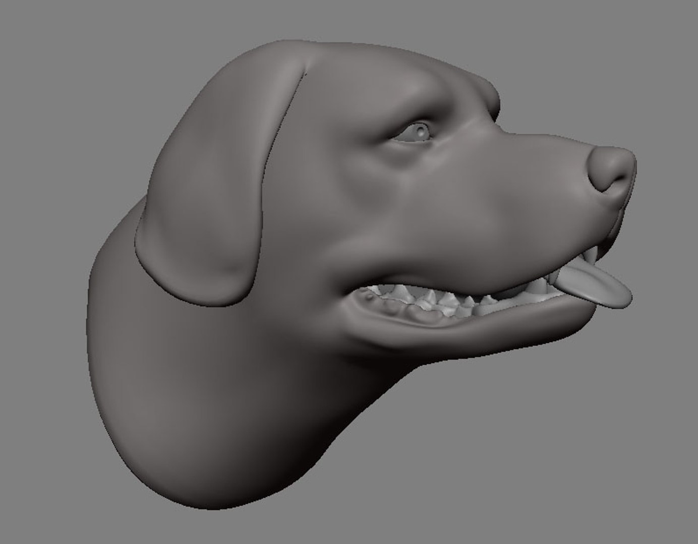 Labrador Dog Animation Obj