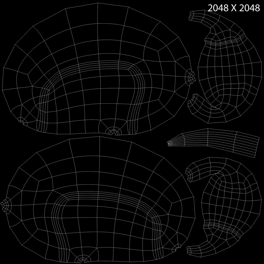 dipleurula larva 3d obj https://p.turbosquid.com/ts-thumb/Wf/eKq5JC/U8ZgTI99/dipleurulalarva_uv/jpg/1425460871/1920x1080/fit_q87/3d5e3a0b7465e5fffa75f2d73e6a388d5b4ddea5/dipleurulalarva_uv.jpg